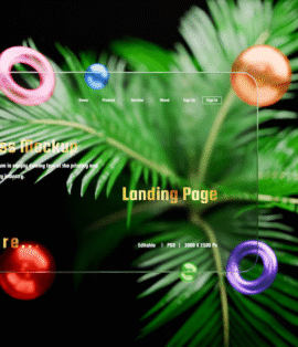 Website Design Examples